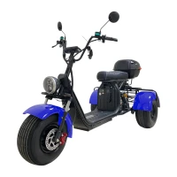 Электроскутер CITYCOCO X7 Pro TRIKE Синий